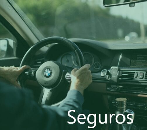seguros
